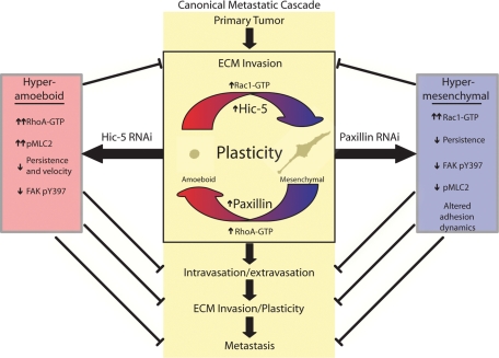 FIGURE 10: