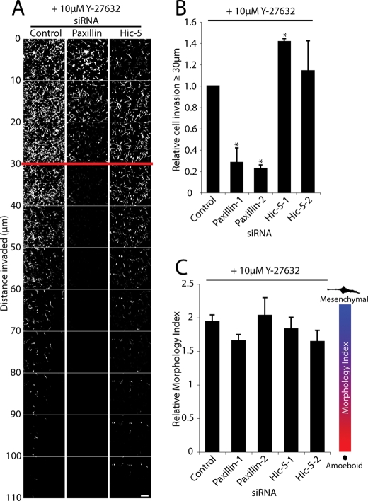 FIGURE 7: