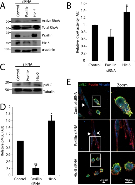 FIGURE 6: