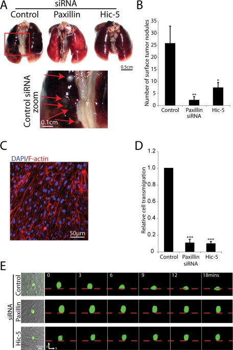 FIGURE 9: