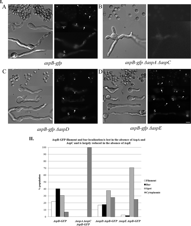 Fig 7