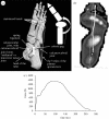 Figure 1.