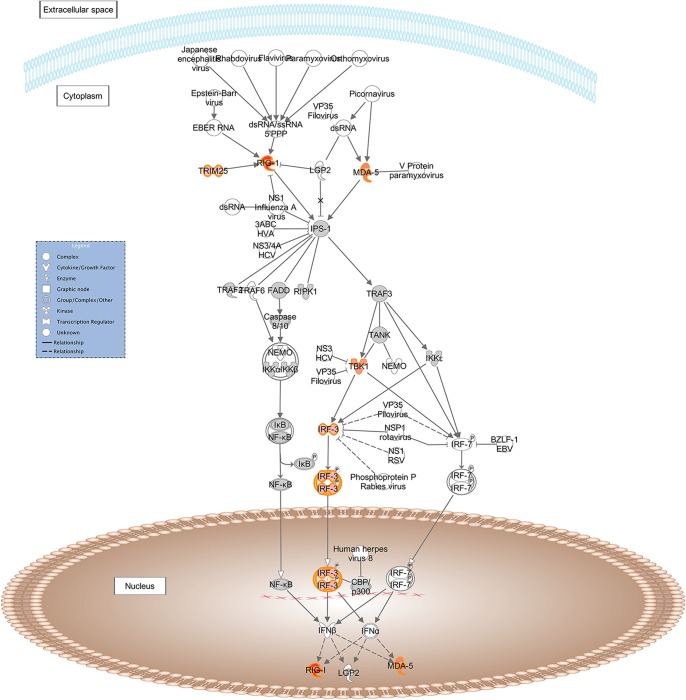 Fig 4