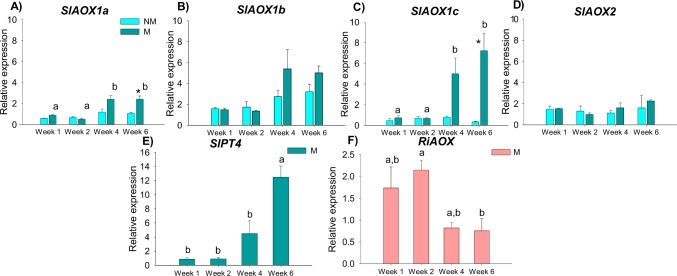 Fig 4