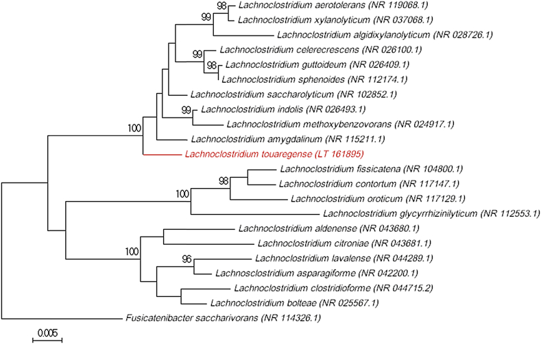 Fig. 1