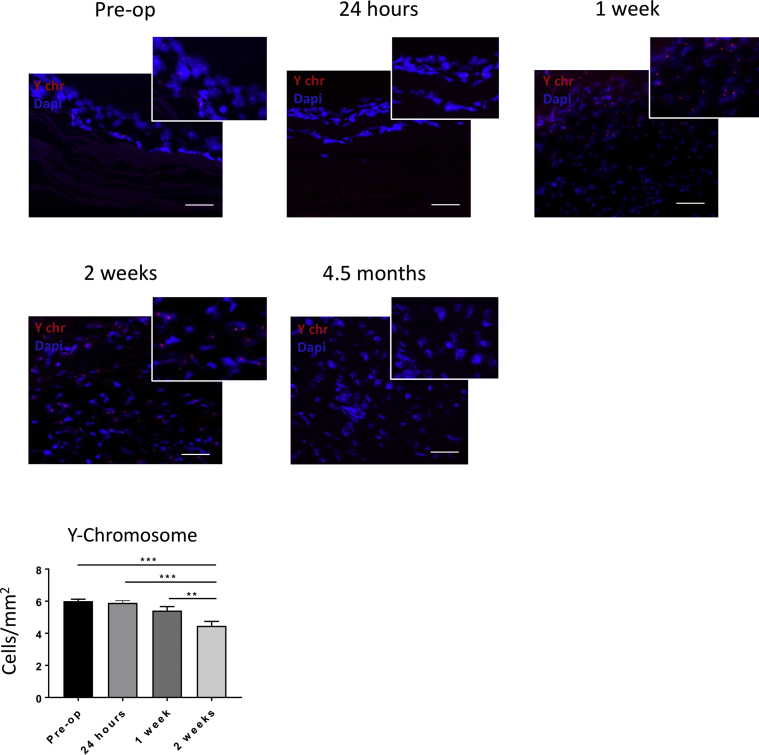 Figure 6