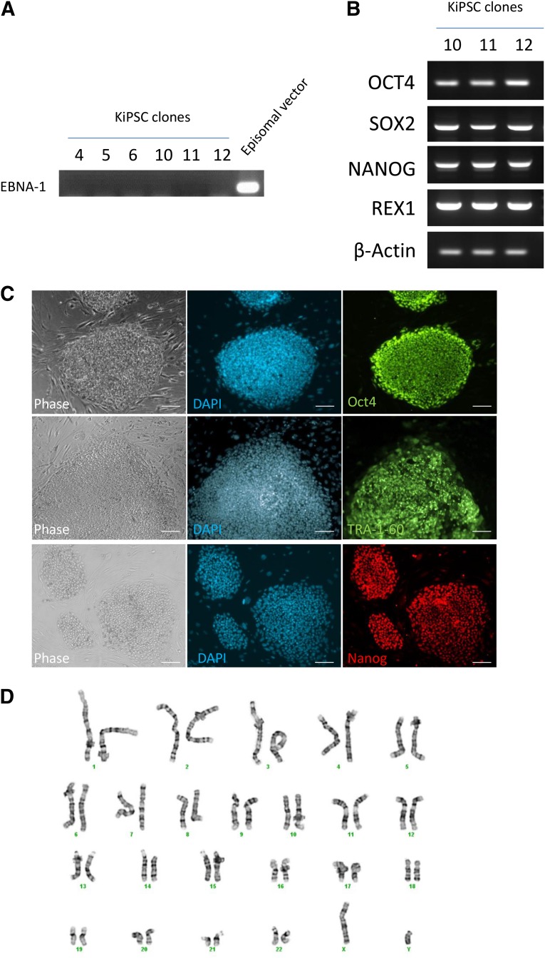 Figure 2.