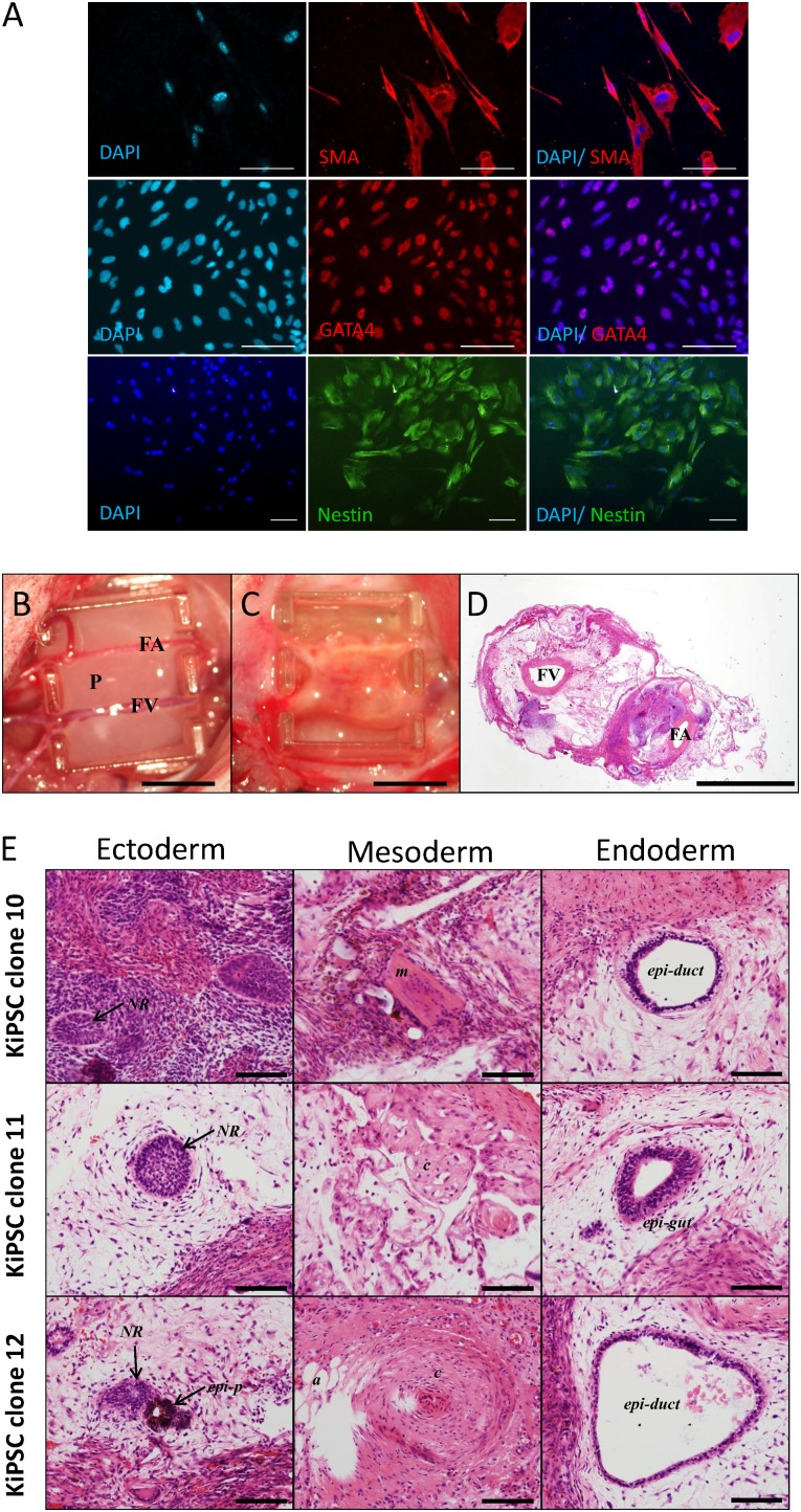 Figure 3.