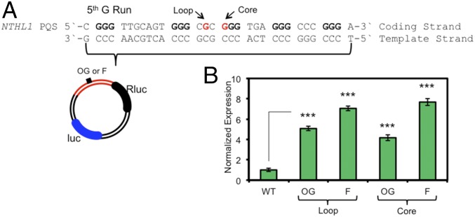 Fig. 6.