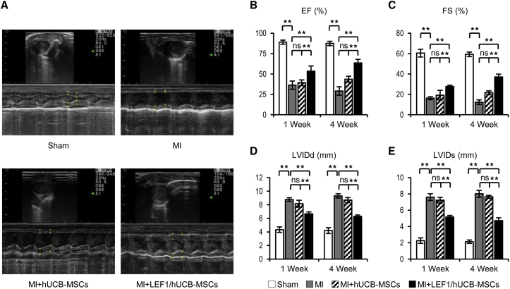 Figure 4