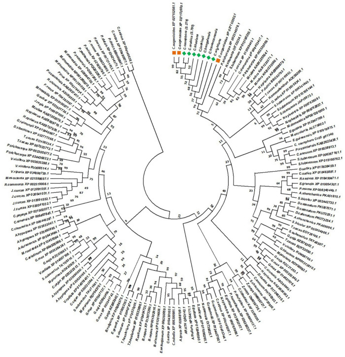 FIGURE 4