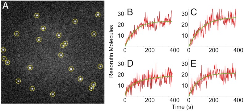 Fig. 2.