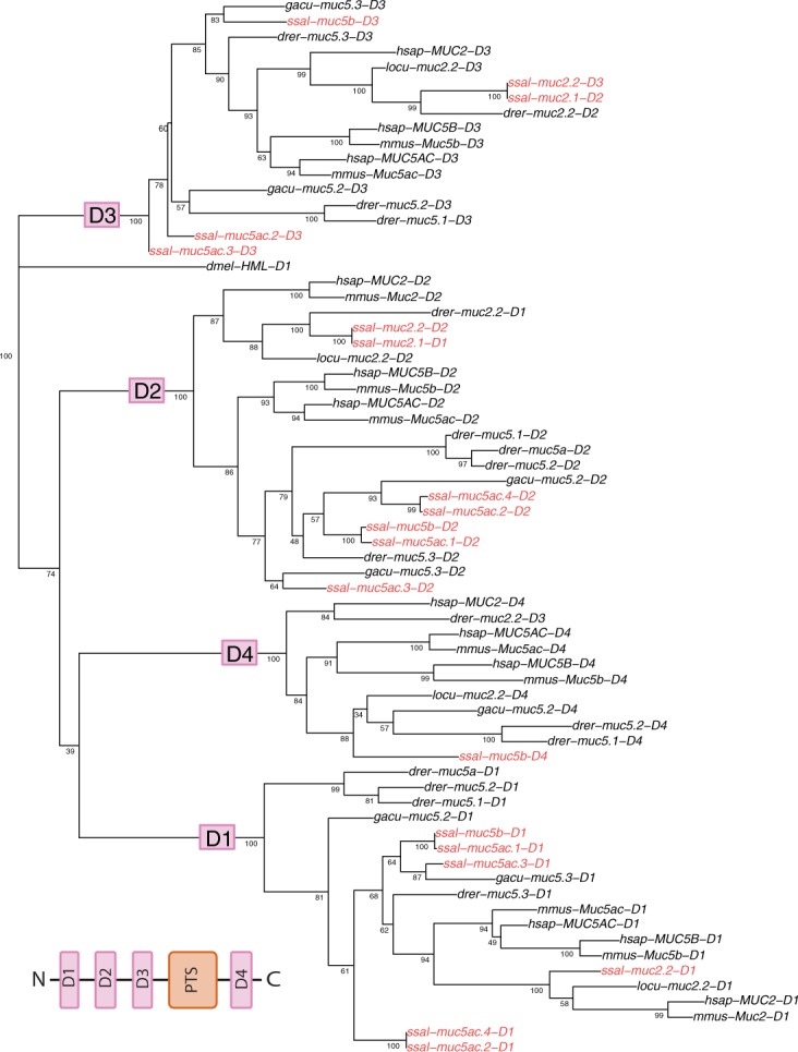 Fig 3