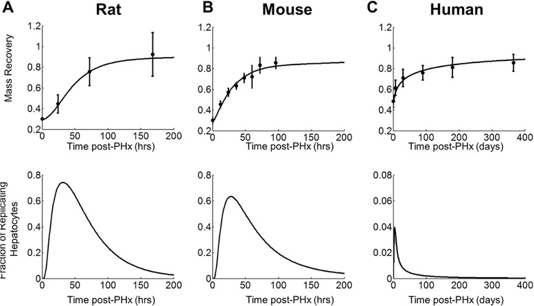 Fig. 9