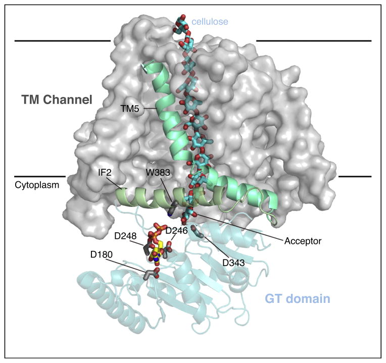 Figure 4