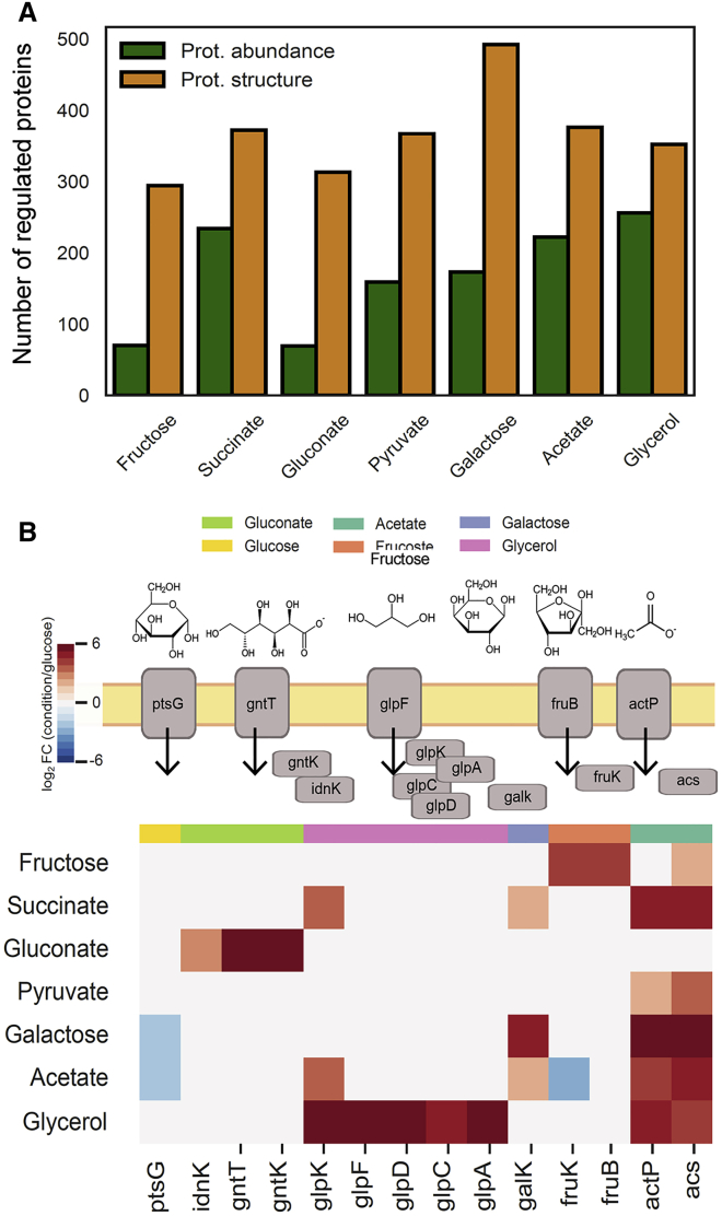 Figure 4