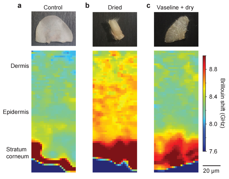 Fig. 3.