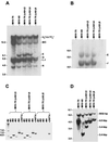 FIG. 6