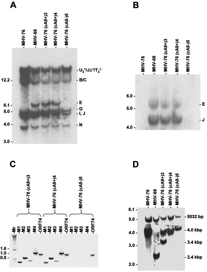 FIG. 6