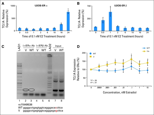 Fig 3.