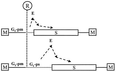 FIG. 7