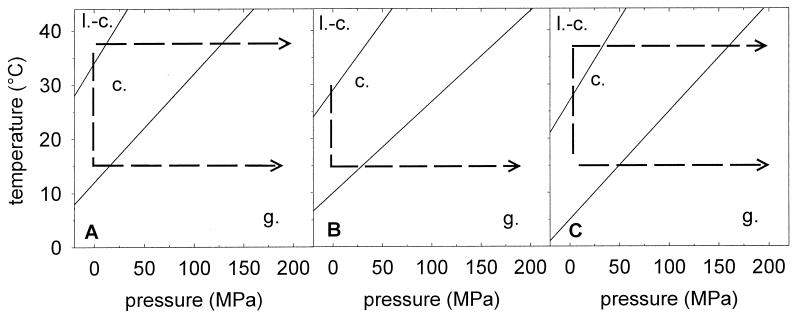 FIG. 7.