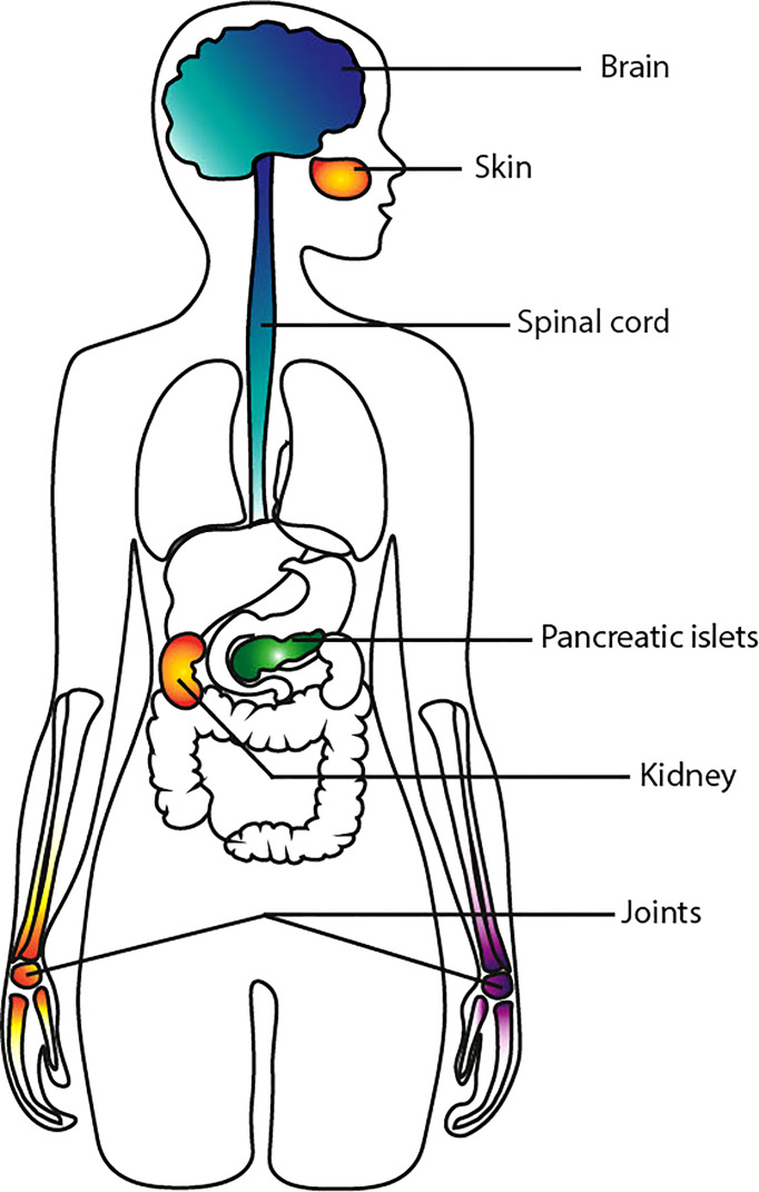 Figure 1