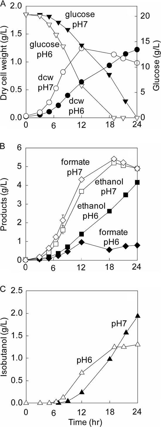 Fig. 8.