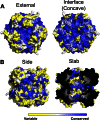 FIGURE 3.