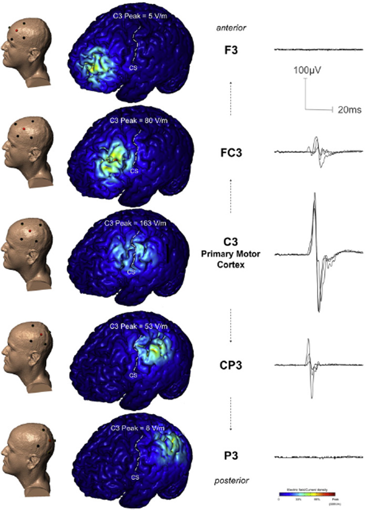 Fig. 3