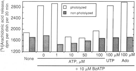 graphic file with name pnas01049-0221-c.jpg