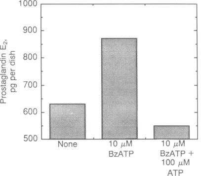 graphic file with name pnas01049-0222-a.jpg