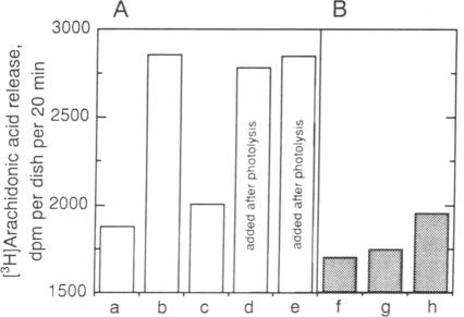 graphic file with name pnas01049-0221-a.jpg