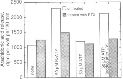 graphic file with name pnas01049-0222-b.jpg