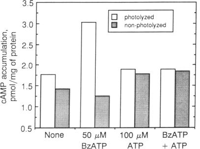 graphic file with name pnas01049-0221-b.jpg