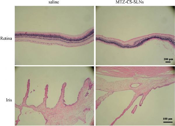 Fig.4