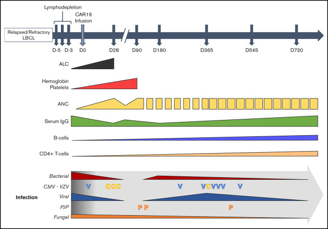 graphic file with name advancesADV2020002732absf1.jpg