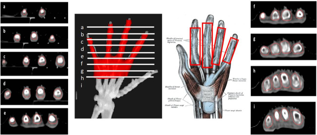 Figure 4.