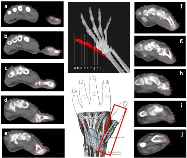 Figure 5.