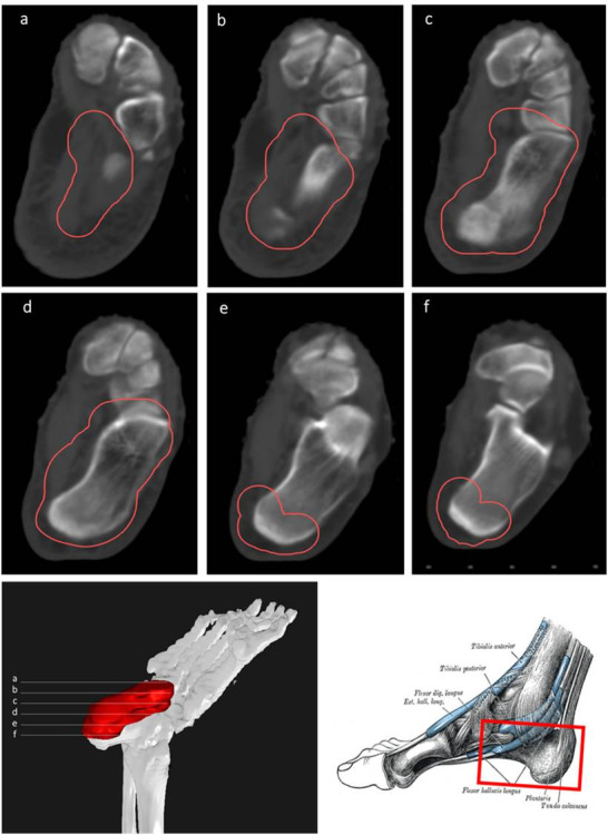 Figure 10.