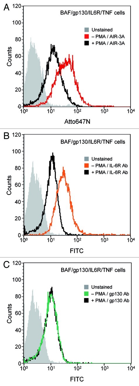 graphic file with name rna-9-67-g6.jpg