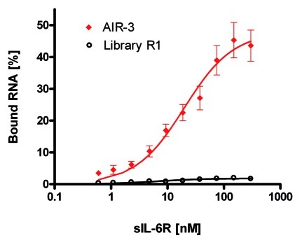 graphic file with name rna-9-67-g2.jpg