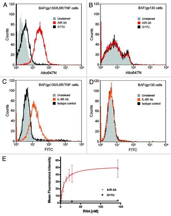 graphic file with name rna-9-67-g5.jpg