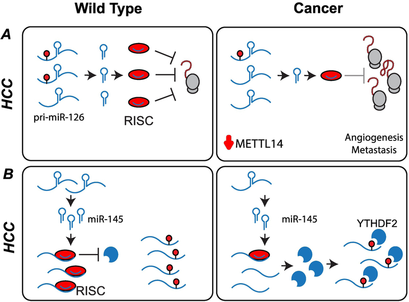 Figure 5: