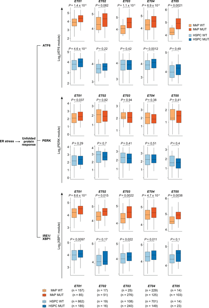 Extended Data Figure 6.