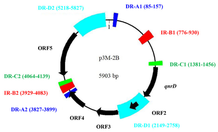 Figure 5