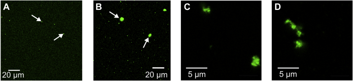 Figure 7