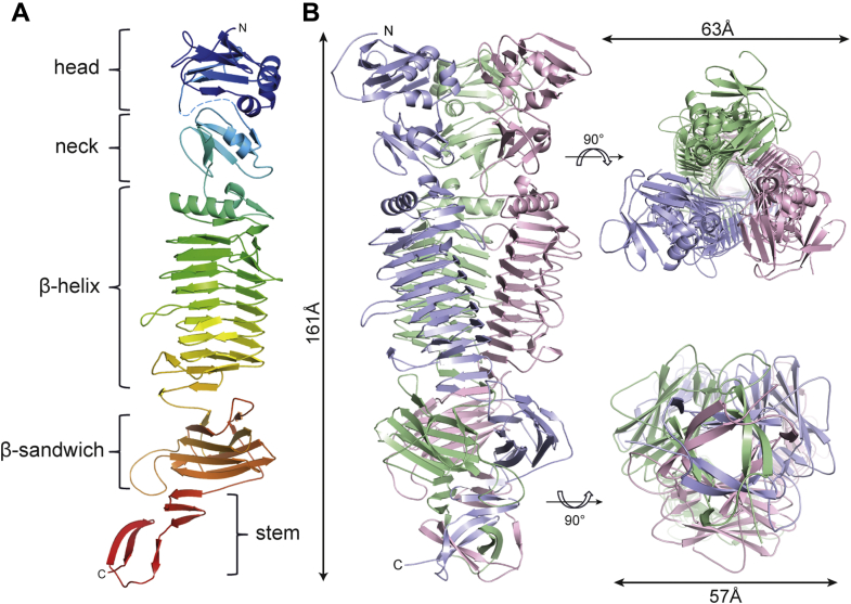 Figure 2