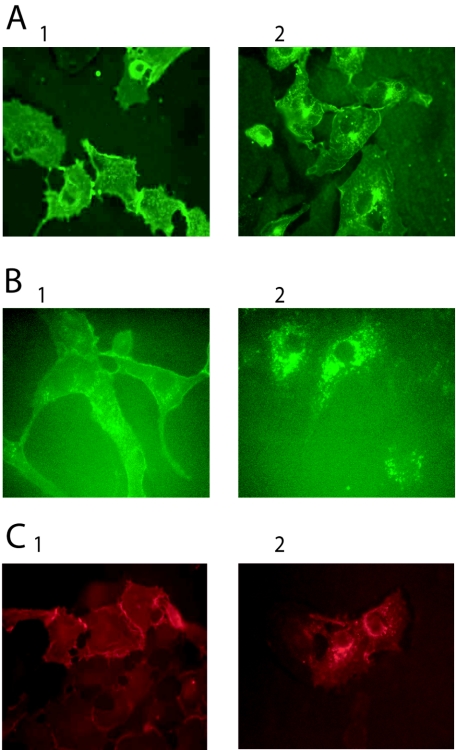 FIG. 6.