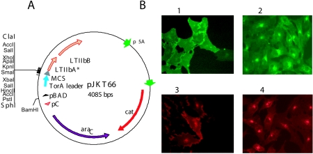 FIG. 8.